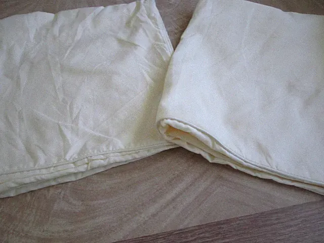 Chic pair pale yellow pillow shams 25 x 25